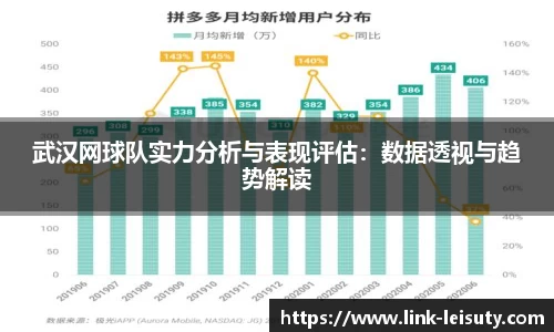 武汉网球队实力分析与表现评估：数据透视与趋势解读